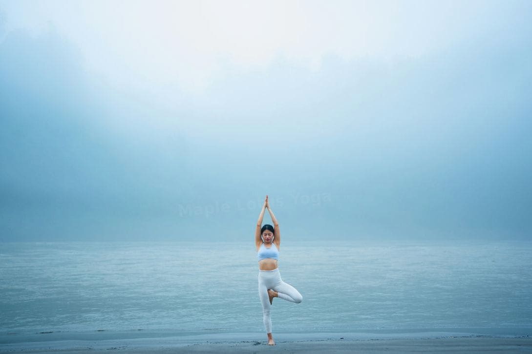 Maple Lotus Yoga 4