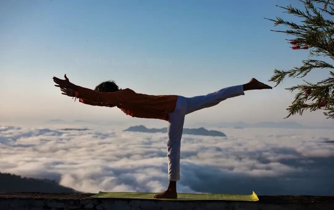 Maple Lotus Yoga